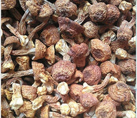 2 Pound (908 grams) House Dried Agaricus Blazei Premium Grade from Yunnan China