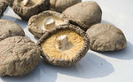 2 Pound (908 grams) Dried Shiitake Mushroom Premium Grade from Yunnan China