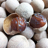 4 Pound (1816 grams) Dried Longan whole fruit Grade A from Guangdong