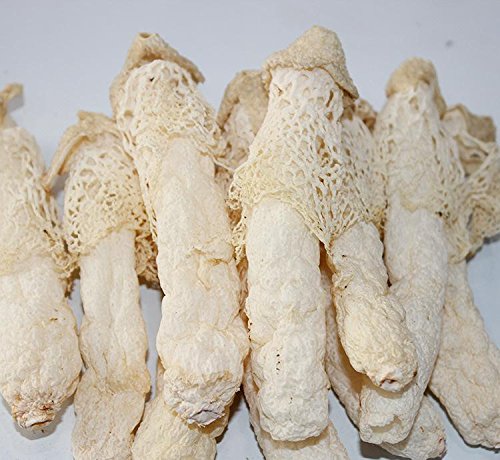 2 Pound (908 grams) Wild Bamboo Fungus Dried Mushroom from Yunnan China