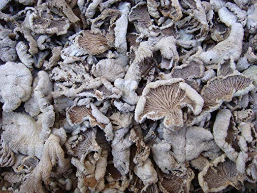 3 Pound (1362 grams) Split Gill Mushroom Schizophyllumcommuneh dried Premium Grade from Yunnan China