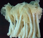 8 Ounce (227 grams) Natural Bamboo Fungus Dried Mushroom from Yunnan China