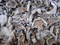 2 Pound (908 grams) Split Gill Mushroom Schizophyllumcommuneh dried Premium Grade from Yunnan China
