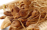 2 Pound (908 grams) Grade A delicious mushroom Agrocybe Aegerita dried from Yunnan China