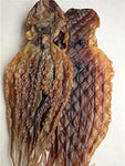 2 Pound（908 grams）Dried seafood octopus from China Sea