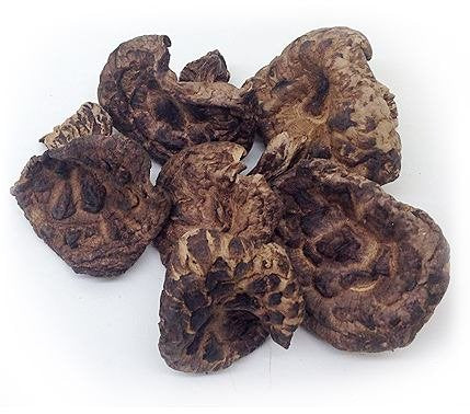 1 Pound (454 grams) Sarcodon Aspratus Dried Mushroom from Yunnan China