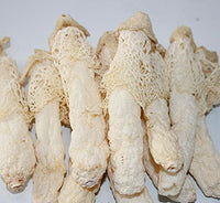 1 Pound (454 grams) Wild Bamboo Fungus Dried Mushroom from Yunnan China