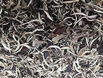 1400 grams moonlight white tea premium grade loose leaf bag packing