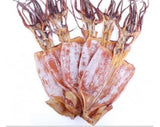 3 Pound（1362 grams）Dried seafood large-sized squid from China Sea