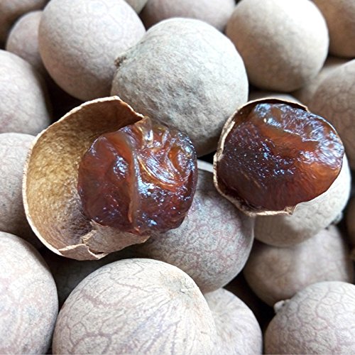 3 Pound (1362 grams) Dried Longan whole fruit Grade A from Guangdong