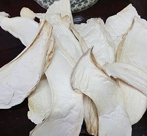 2 Pound (908 grams) Oyster Dried Mushroom Premium Grade from Yunnan China