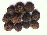 1 Pound (454 grams) Famous Himalayas Black Whole Truffle dried in Jar