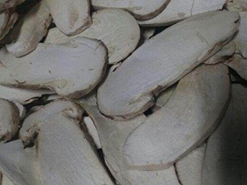 1 Pound (454 grams) Freeze Dried Matsutake Slices Mushroom Premium Grade from Yunnan China