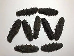 1 Pound（454 grams）Dried seafood sea cucumber from China Sea