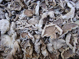 1 Pound (454 grams) Split Gill Mushroom Schizophyllumcommuneh dried Premium Grade from Yunnan China