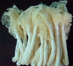 1 Pound (454 grams) Natural Bamboo Fungus Dried Mushroom from Yunnan China