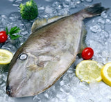 3 Pound (1362 grams) Charcoal grilled seafood snack Yellowfin Filefish filet from China Sea