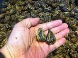 1050 grams black tea Tuocha of tower shape highest grade in bag packing