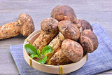 8 Ounce (227 grams) Freeze Dried Matsutake Whole Mushroom Premium Grade from Yunnan China