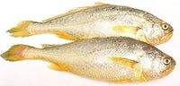 2 Pound (908 grams) Little spicy seafood snack Yellow croaker from China Sea