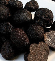 8 Ounce (227 grams) Famous Himalayas Dried Truffle Cubes Premium Grade
