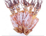 1 Pound（454 grams）Dried seafood large-sized squid from China Sea